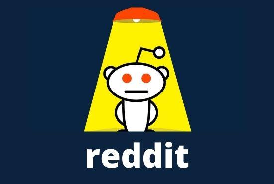 Fastest Traffic On Your Website With 10 High Quality Reddit Guest post