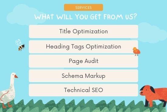 I will do on page SEO optimization for your wordpress website
