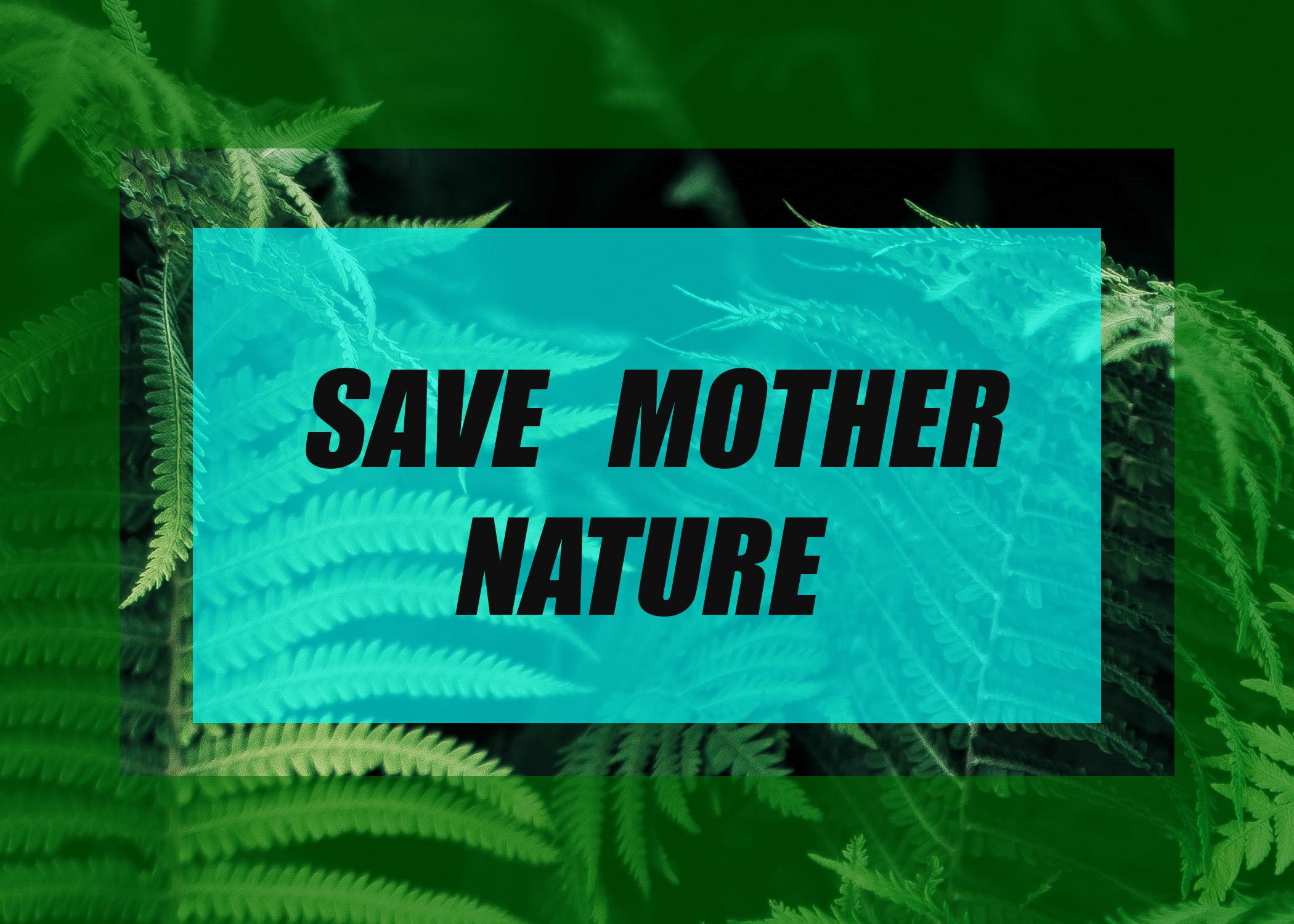 i can create trendy insta and fb posts and proffesional business posters 