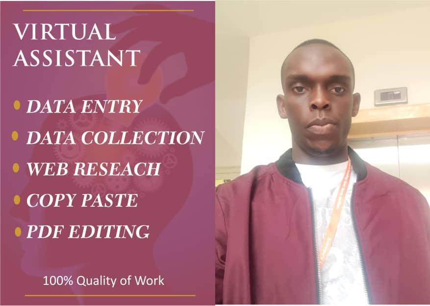 I will handle your data entry jobs in a timely fashion and prescribed format