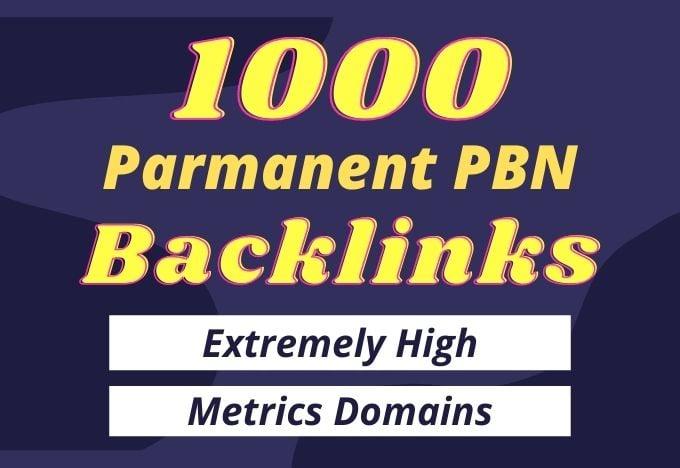 I will provide 1000 Parmanent PBN Backlinks from 50+ high da pa sites