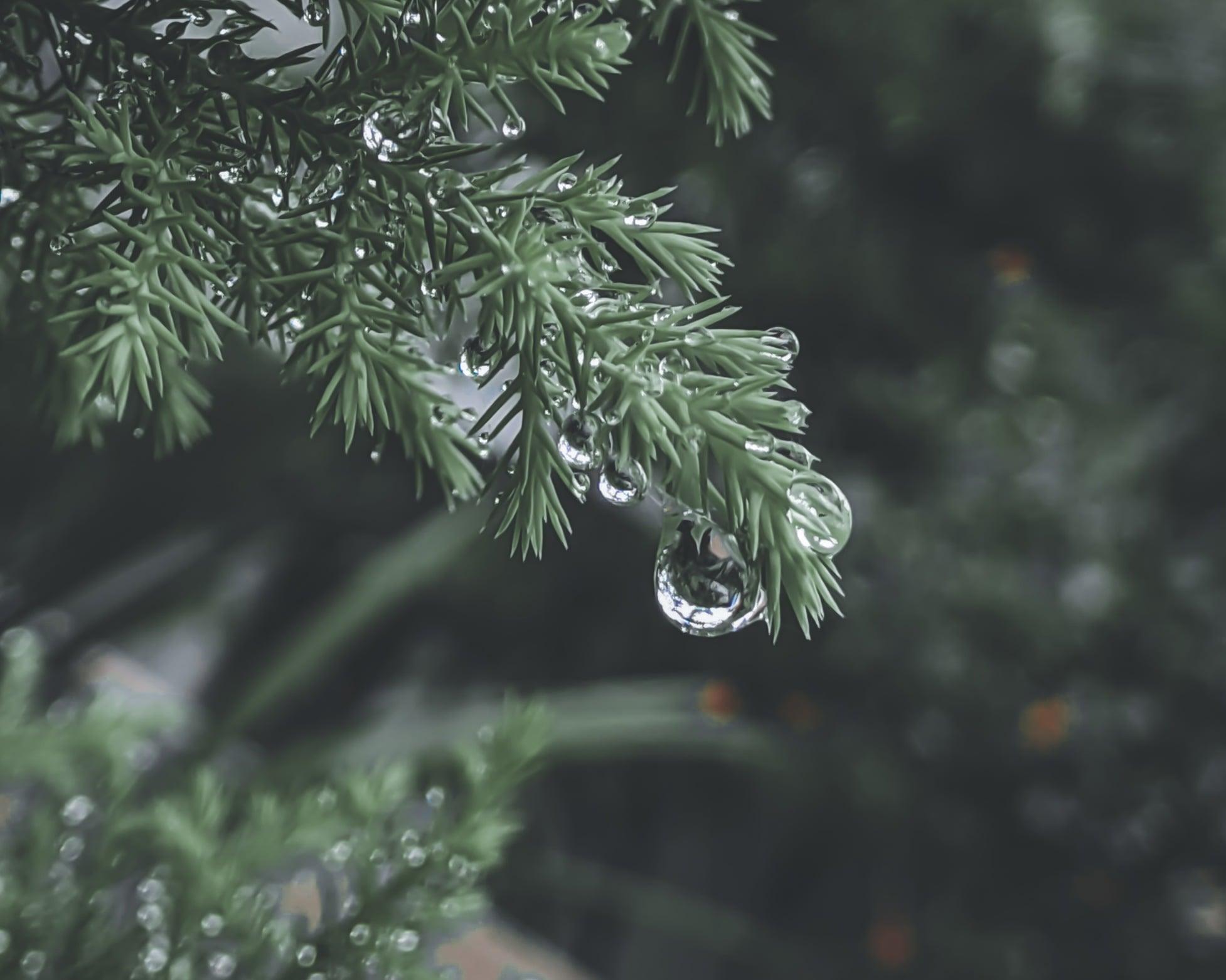 Picturesque editography retouching and background removalist