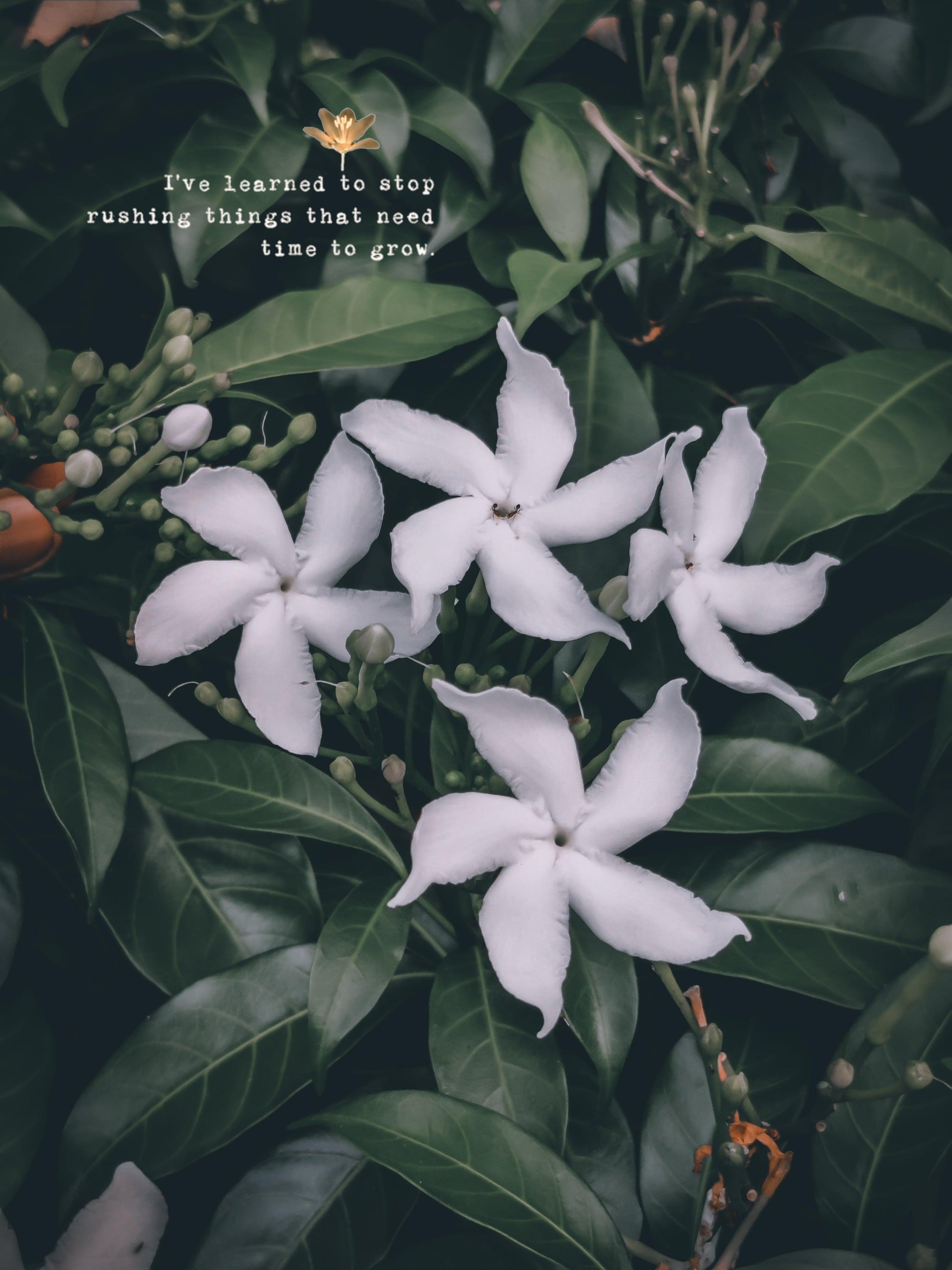 Picturesque editography retouching and background removalist