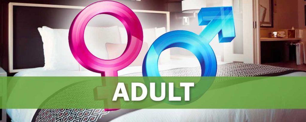 100 Adult Niche Related blog comment your Website 