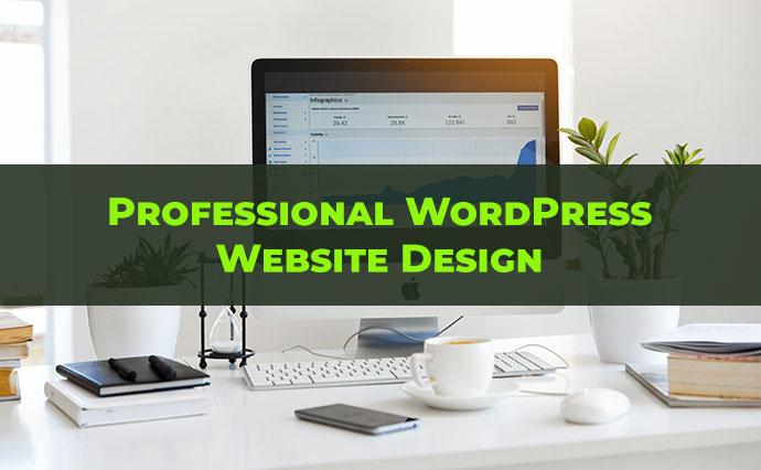 I will install wordpress and customize theme