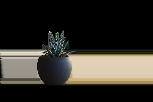 Remove image background in white or transparent