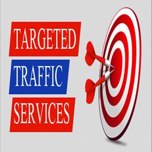 UNLIMITED HUMAN TRAFFIC BY Google ✺ Facebook ✺ Twitter✺Youtube✺Pinterest etc to web site for 30 days 