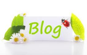 provide BLAST 49 Backlinks 2XPR7 2XPR6 10XPR5 10XPR4 25XPR3,2 From Blog Comment fo