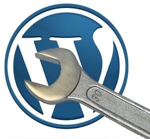 I will Solve any WordPress Problem