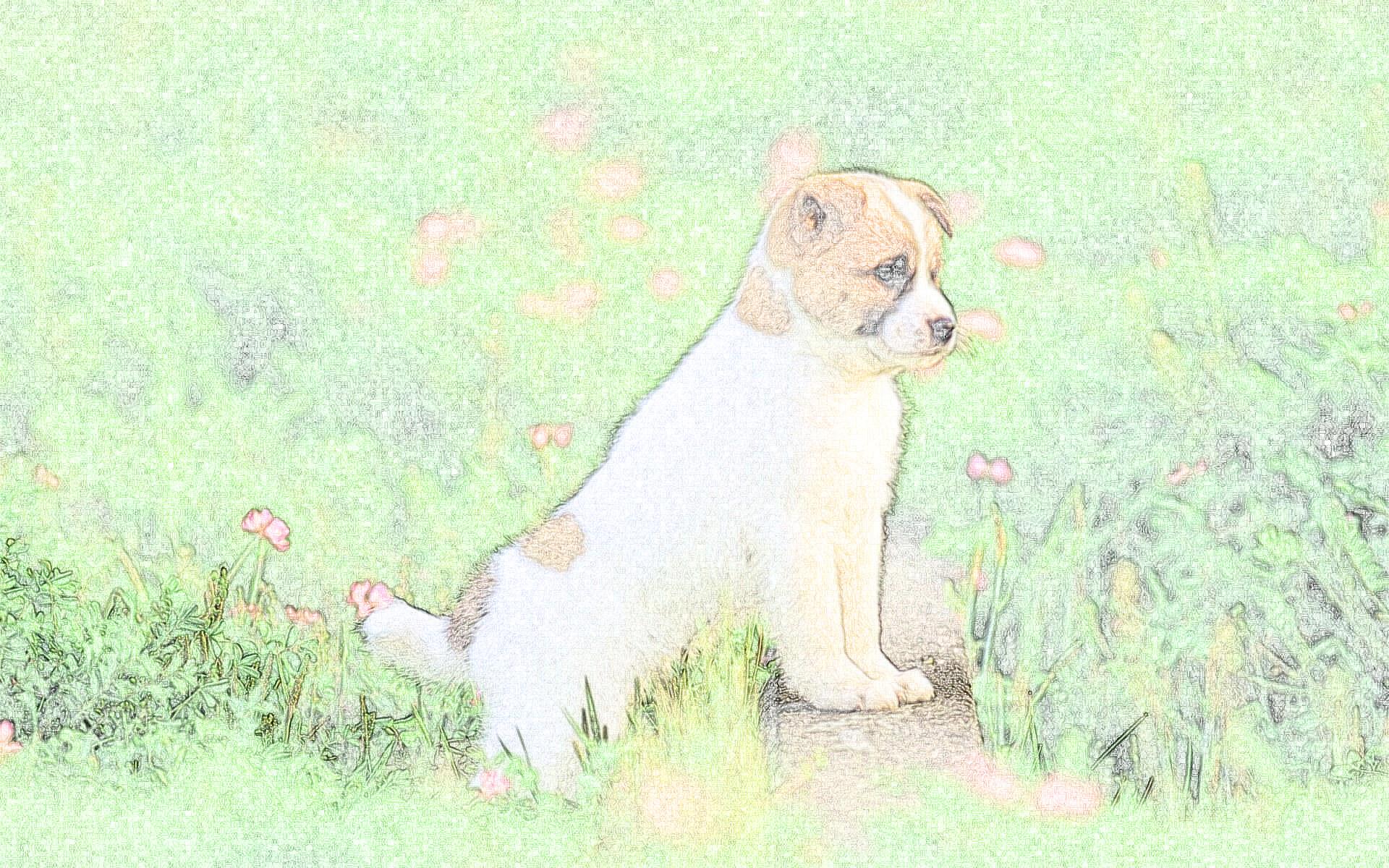 Make a cool illustration from your photo in my style