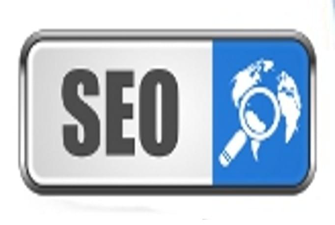 I will give you an Expert SEO Report of Any Website with Actionable  Data in a PDF
