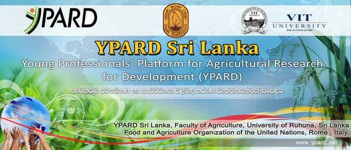 design HiGH qulity banner,header,logos,cover and any kind Hard Graphics