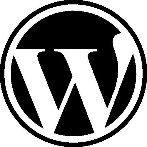 Get a Wordress Self Hosted or Blogger Hosted Website With Adavance Custom theme 