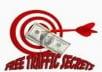 show you five traffic secrets fastly and easily