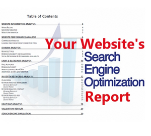 Full SEO Report (Refering, Backlinks, TLDs, Keywords)