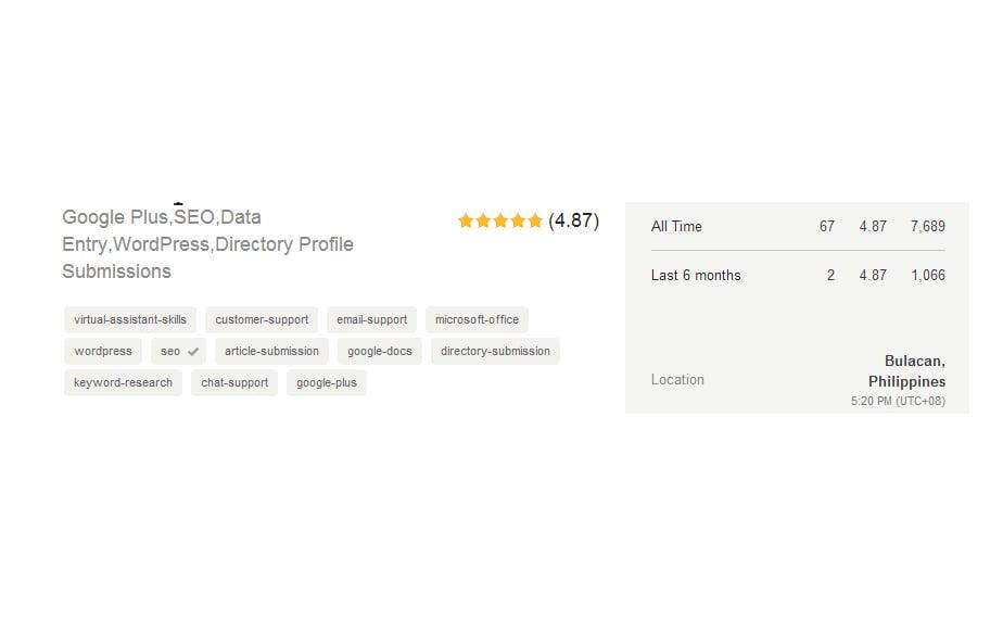 Manual Directory Submission 30-50 directory websites