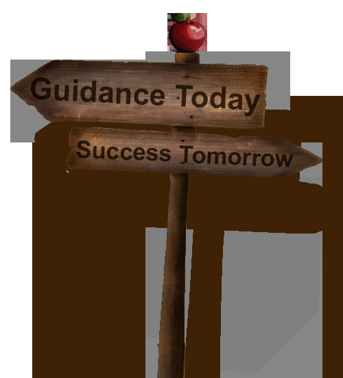 Online Business Consulting