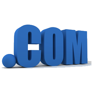 Dot .com goddady Domains