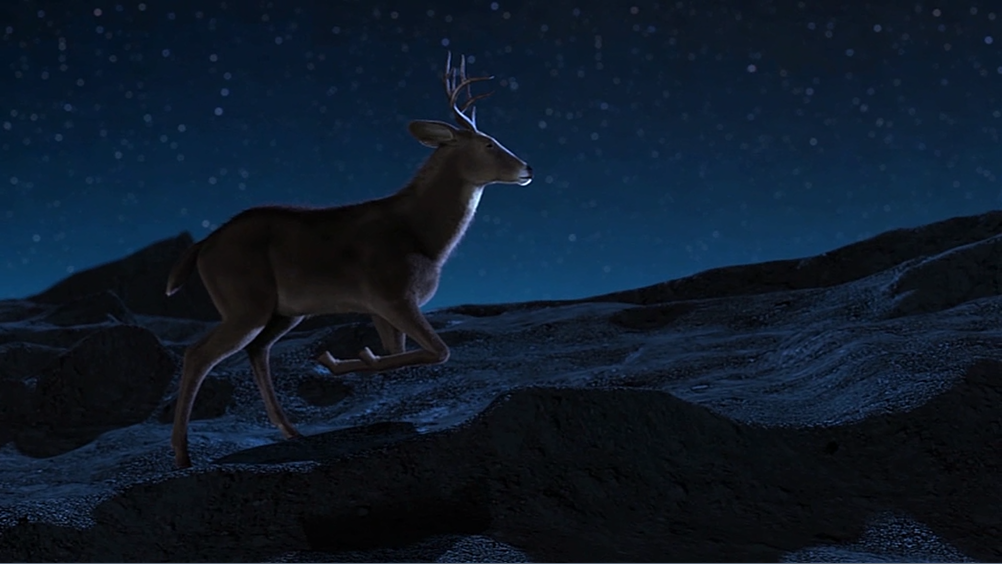 Amazing Deer Jump Intro Video