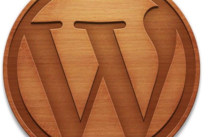 I will solve your Wordpress blogs css,html and other wordpress issues