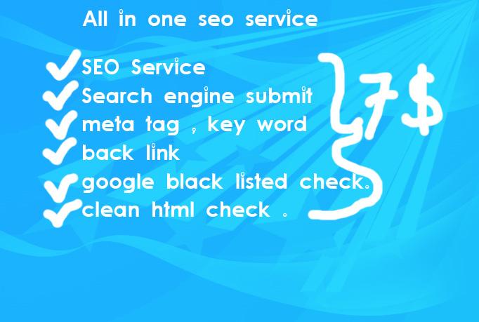 all in one ultimate seo service 