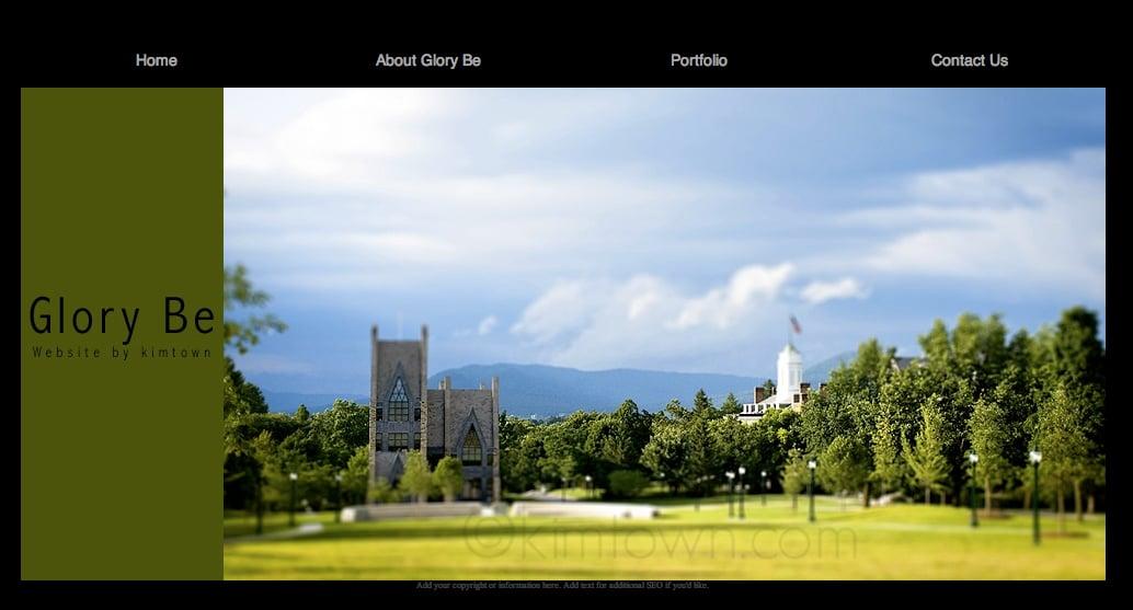 Professional website making