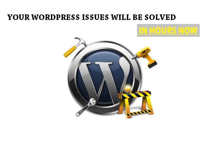 i ll design and develop any website in word press