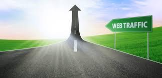 build 9999 daily USA organic visitors from google