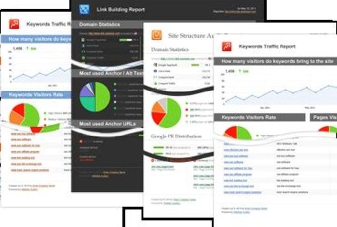 I will create a full Seo Report for your website using IBP