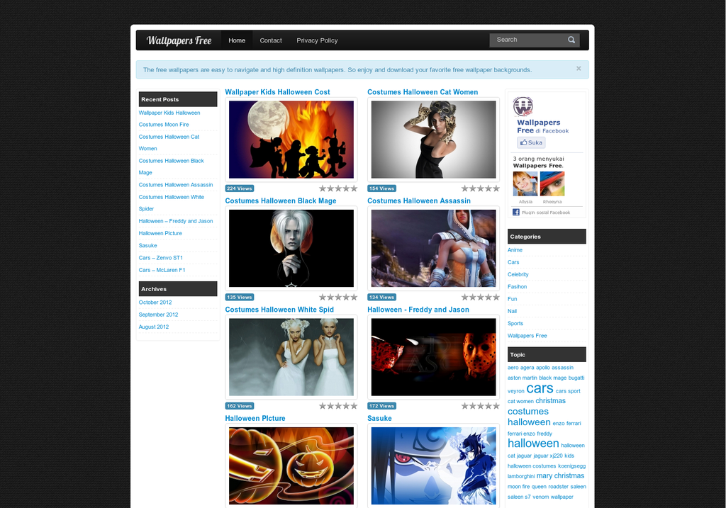 I will build wallpaper website with bulk image posting on wordpress
