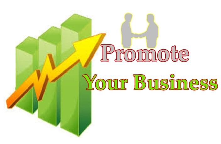 i will promote your business in 31 high pr classifids websites