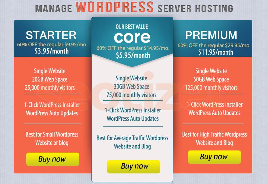WordPress Server Hosting of 1 Year for Blog or Website