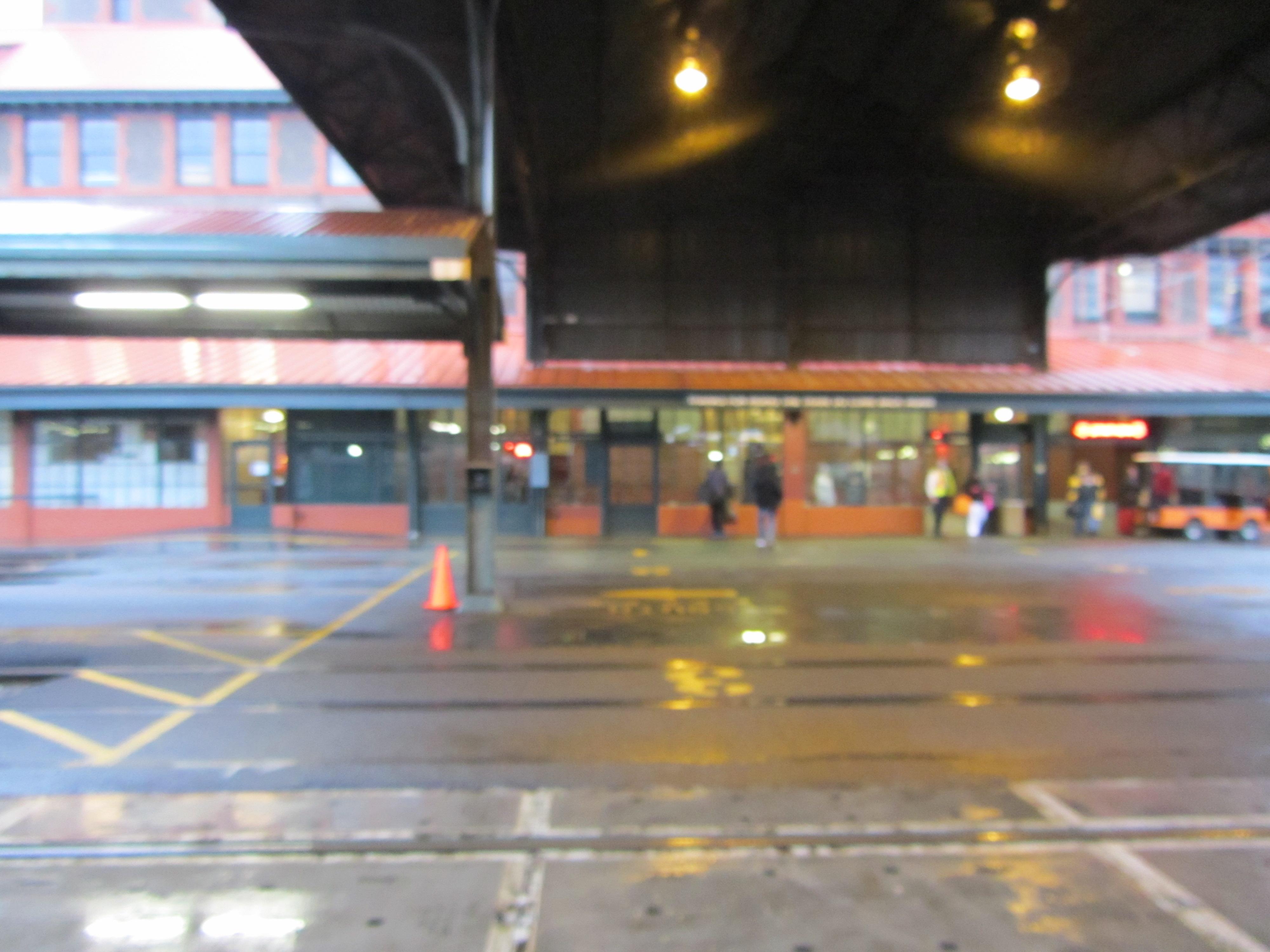 article and content writer