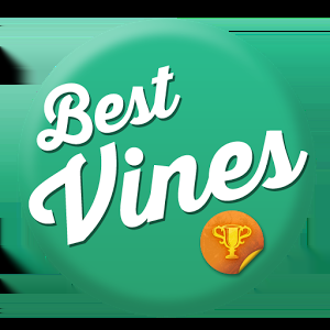 10,000 HQ Vine Followers OR Vine Likes OR Revines/Reposts Up To 200,000