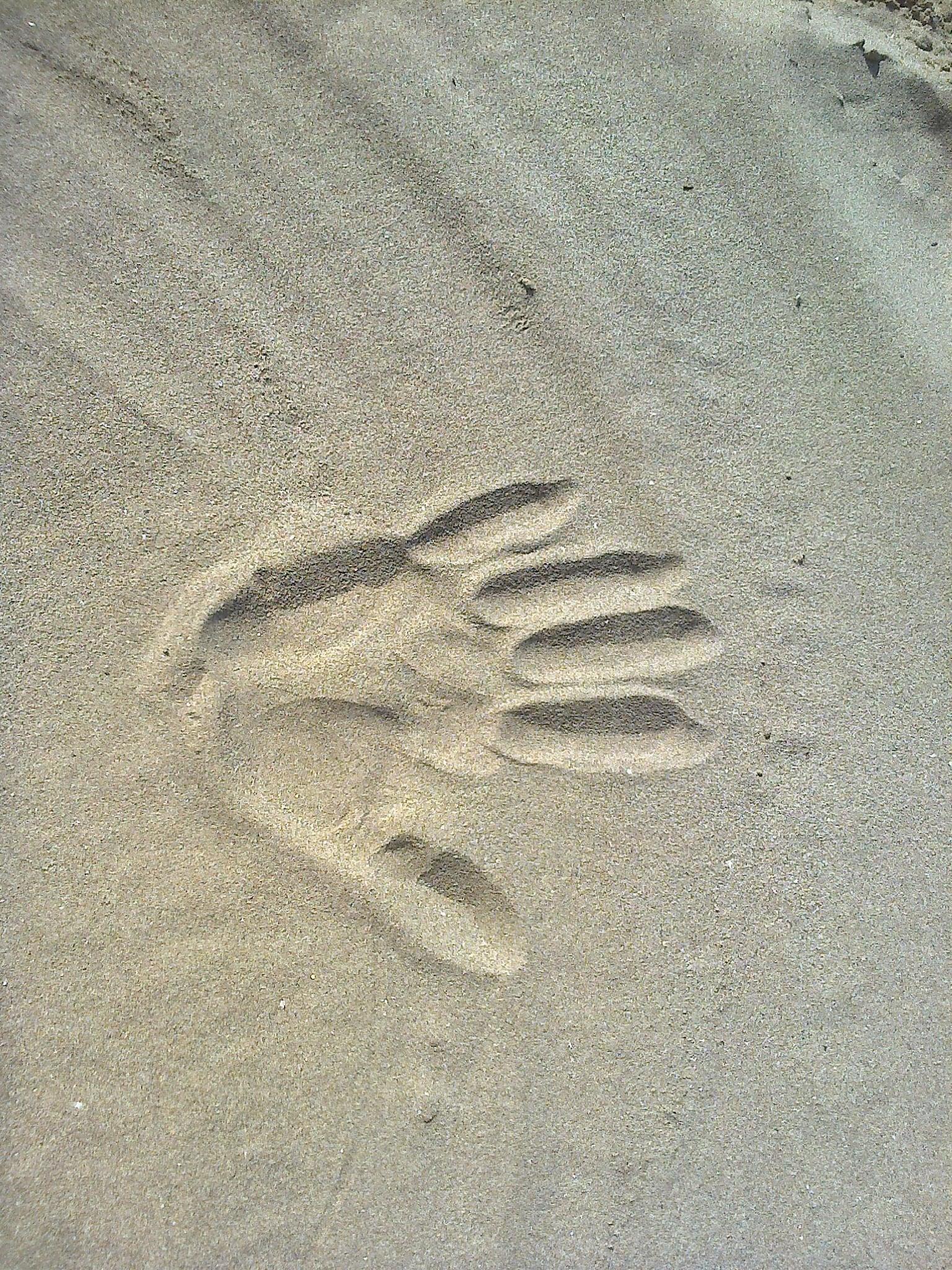 write a positive review about your business 