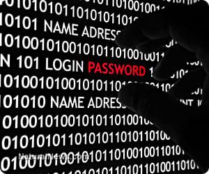 I Well Secure Your WebSite Professionally