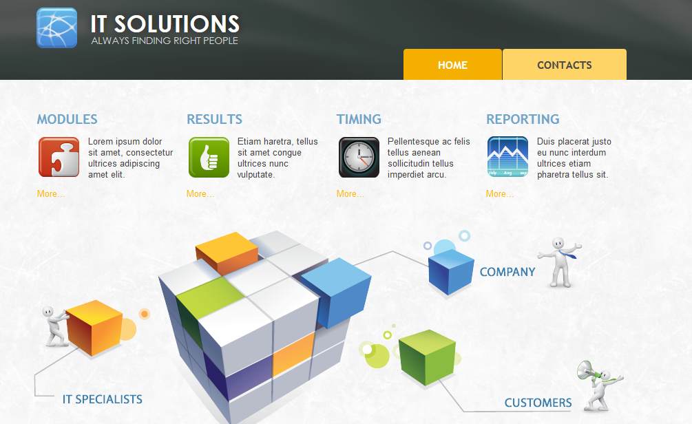 create professional Wordpress website