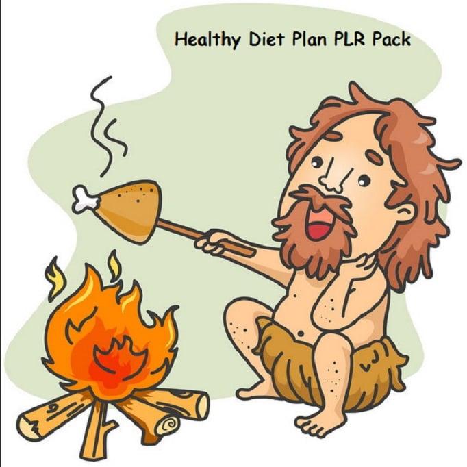I will provide you a PLR pack about healthy diet plans