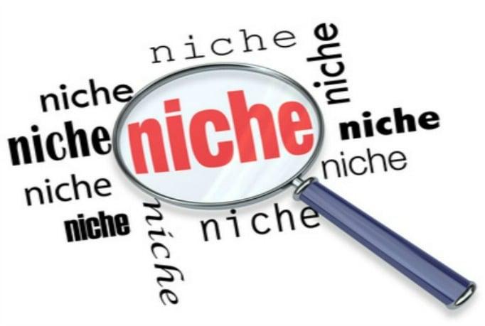 I will do indepth SEO keyword research for your niche