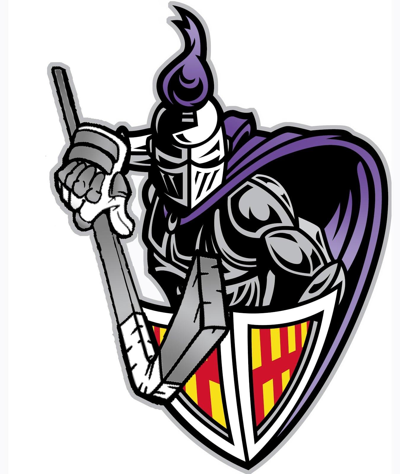  logo design in 24 hours