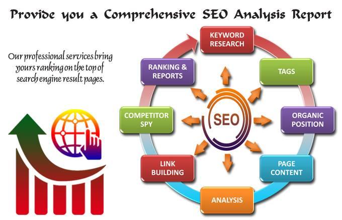 SEO Evaluation Report of your website, 24 Hour Delivery for $10