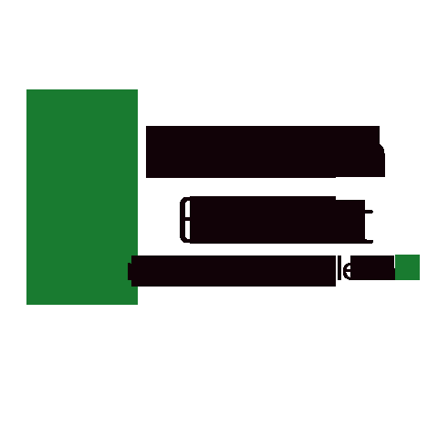 I will make an eye catching (transparent png) HQ logo desing for you