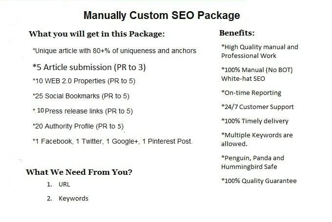 I Will Offer Manually Custom SEO Package