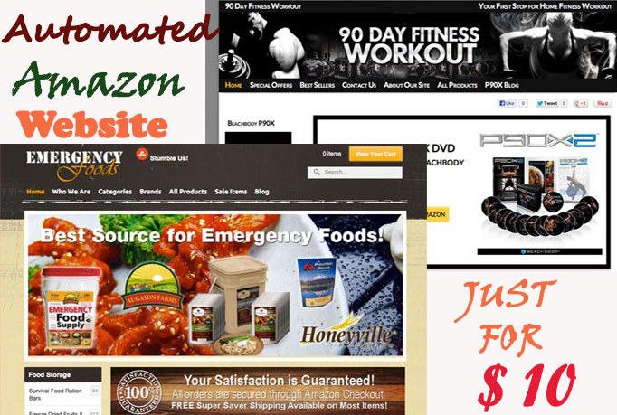 I will make easy fully Automated hassle free Amazon store Website 