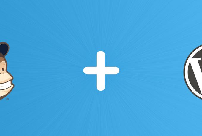 I will make mailchimp form to your website