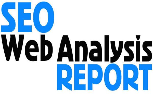 a detailed SEO report for your website