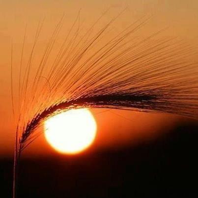 20 Organic 301 Redirect BackLinks From High PR [3-7] All Unique Domains & IP's