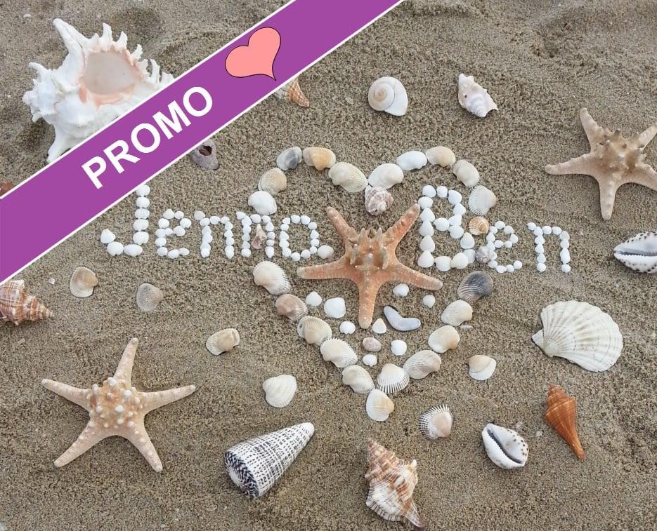 Your amazing text with shells on the beach