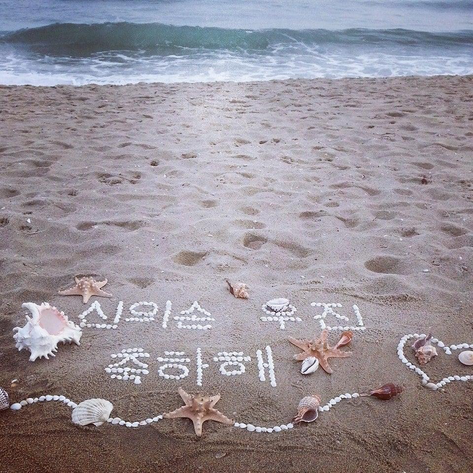 Your amazing text with shells on the beach