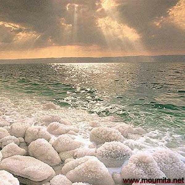 Restore your forgotten admin panel password